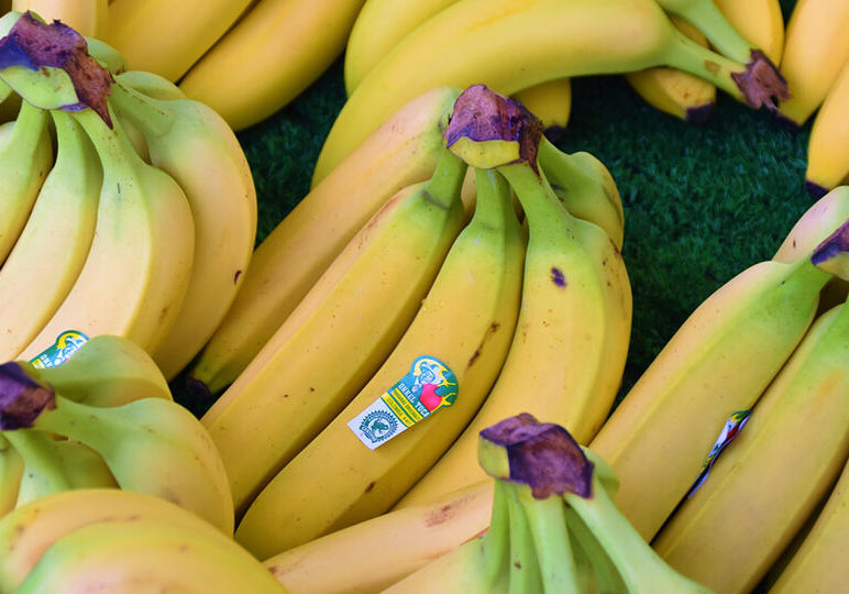 Мир может полностью лишиться бананов