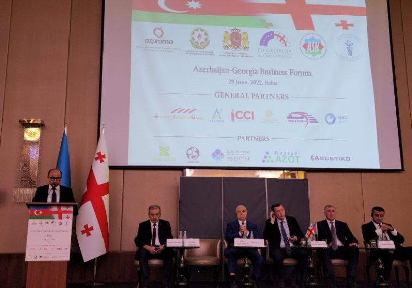Азербайджанские компании вложили в экономику Грузии инвестиции в объеме $3,5 млрд