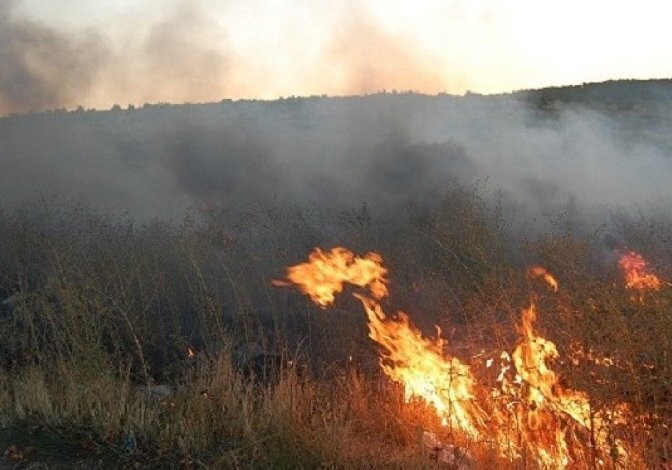 В центре лесного хозяйства в Лянкяране вспыхнул пожар