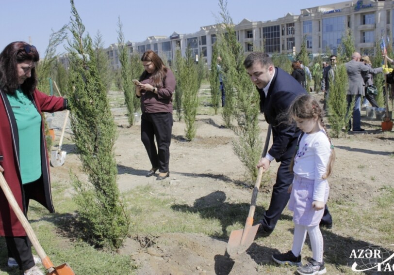 Община Западного Азербайджана организовала акцию по посадке деревьев по случаю 100-летия Гейдара Алиева