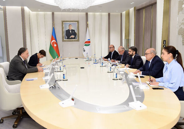 Ровшан Наджаф встретился с послом Чехии в Азербайджане (Фото)
