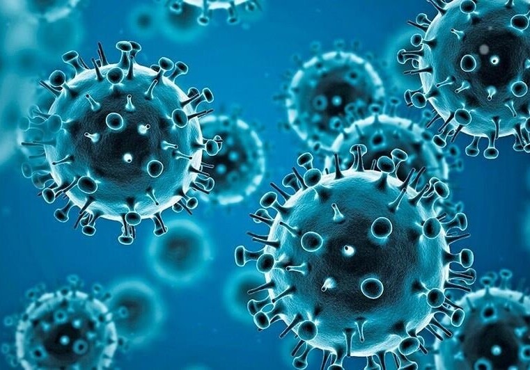 В 29 странах мира выявлен новый подвариант коронавируса