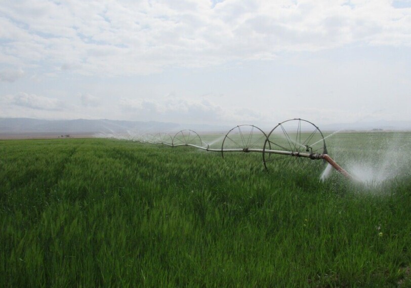 В Азербайджане впервые испытают новый российский агрохимикат