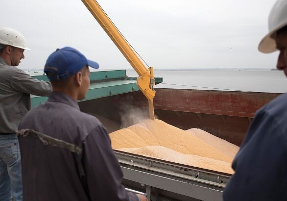 ЕС призвал Россию возобновить свое участие в зерновой сделке