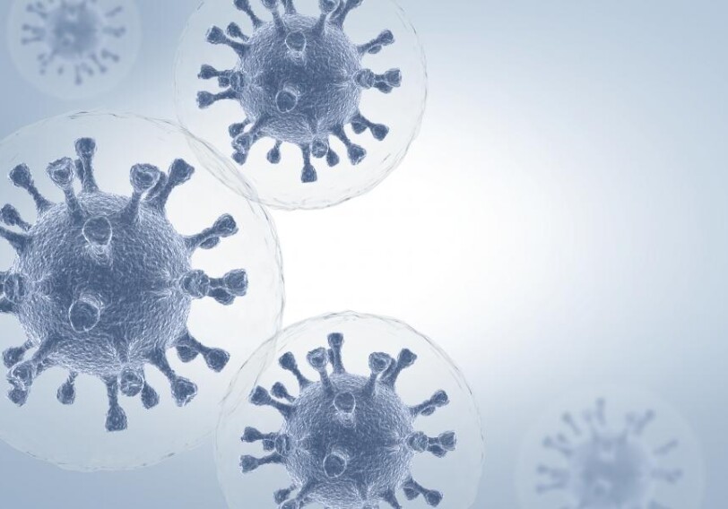 Биологи разработали антитело, обезвреживающее коронавирус в организме человека