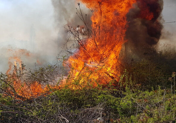 В поселке Бузовна горят бытовые отходы и трава – МЧС (Обновлено)