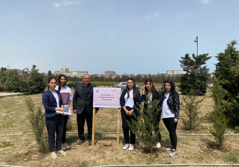 В Баку прошла акция по посадке деревьев (Фото)
