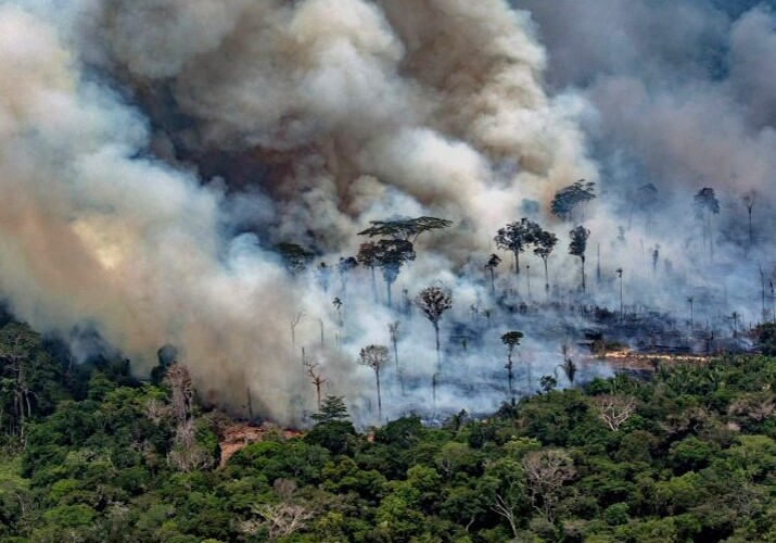 Деятельность человека разрушила почти 40% оставшихся лесов Амазонии