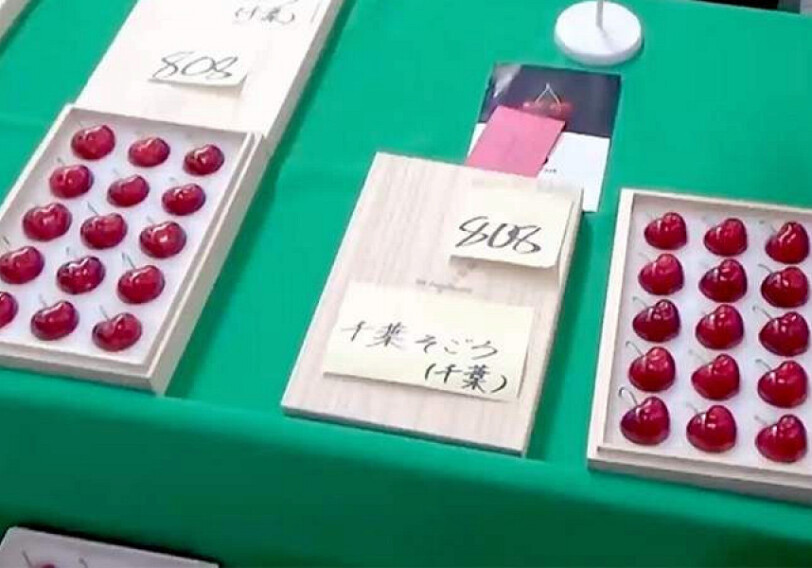 В Японии продали черешню редкого сорта по 300 долларов за ягоду