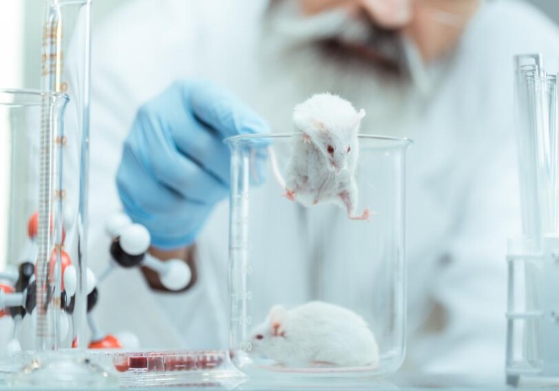 В США отменили тестирование лекарств на животных перед испытаниями на людях (Видео)