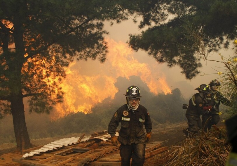 В Чили из-за лесных пожаров погибли 22 человека