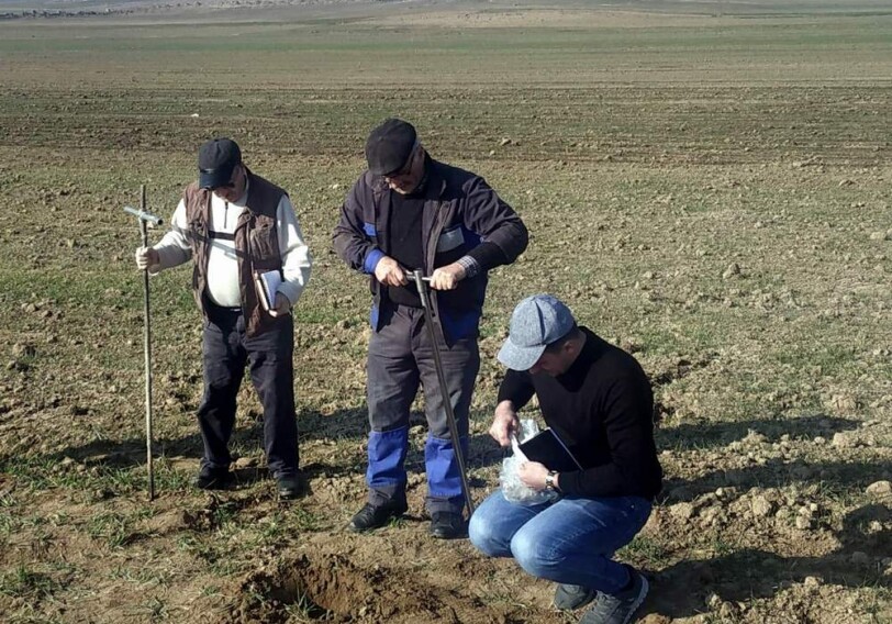 Земли Карабаха по-прежнему плодородны