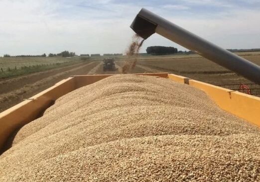 Турция предложила создать «зерновой коридор» из Украины