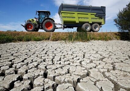 Ученые предупредили о катастрофической засухе в Европе