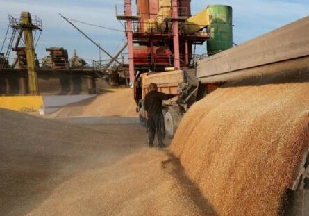 Израиль планирует закупать пшеницу в Азербайджане