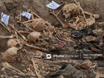 В массовых захоронениях в Губе обнаружено более 600 человеческих скелетов