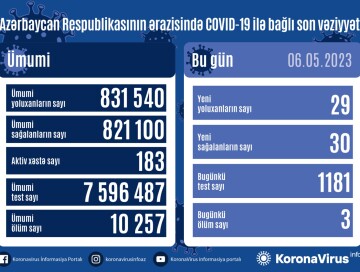 За сутки заразились 29 человек – Статистика по COVID в Азербайджане