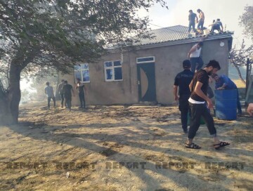 В Шабрани вспыхнул лесной пожар – Огонь перекинулся на жилые дома (Фото)