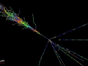 На Большом адронном коллайдере впервые поймали рукотворные нейтрино