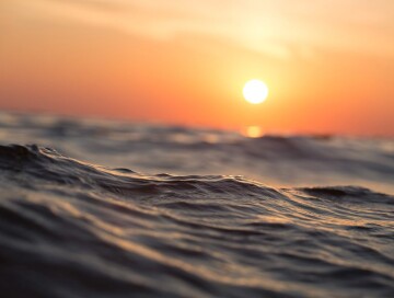 Ученые обнаружили сильные волны тепла, скрывающиеся на дне океана