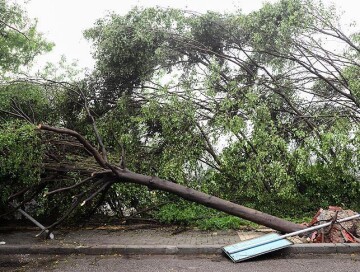 Ураган нанес серьезный ущерб Ордубаду (Фото-Видео) 