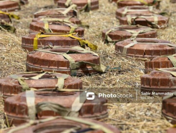 В Физули, где предположительно находится массовое захоронение, обнаружена 31 мина