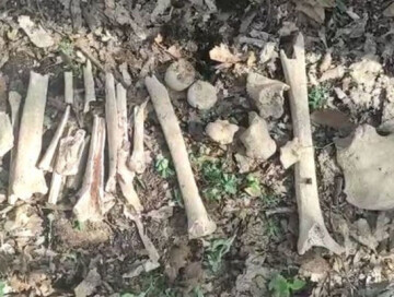 Стало известно о дальнейшей судьбе найденных в селе Фаррух останков азербайджанцев (Видео)