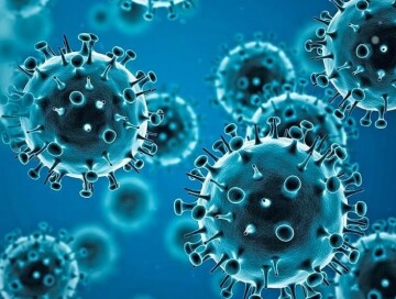 В 29 странах мира выявлен новый подвариант коронавируса
