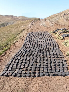 В Лачинском направлении обнаружено более 900 противопехотных мин (Фото)