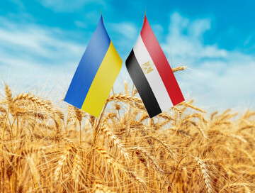 Египет, пшеница и война в Украине