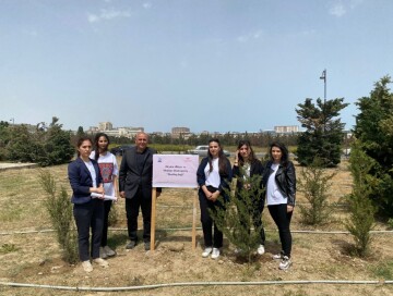 В Баку прошла акция по посадке деревьев (Фото)