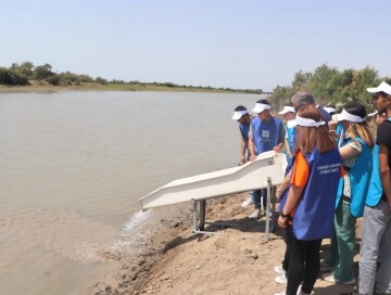 В рамках проекта «Богатые бассейны» в Куру выпущены мальки осетровых