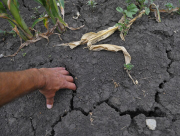 Китай нашел спасение от засухи