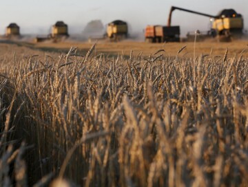 Украина установила маршруты через Польшу и Румынию для экспорта зерна