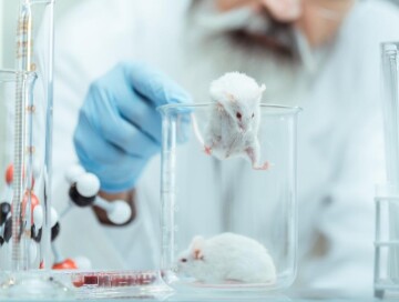 В США отменили тестирование лекарств на животных перед испытаниями на людях (Видео)