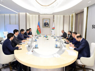 Президент SOCAR встретился с замминистра энергетики Узбекистана (Фото) 