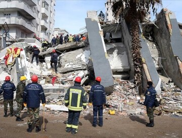 Число погибших в результате землетрясений в Турции достигло 43 556 человек