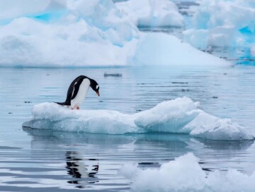 Антарктика за последние 25 лет потеряла более 3 трлн тонн льда