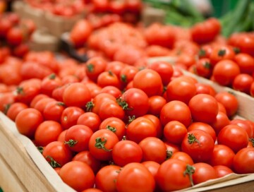 Россия вернула в Азербайджан 47 тонн помидоров