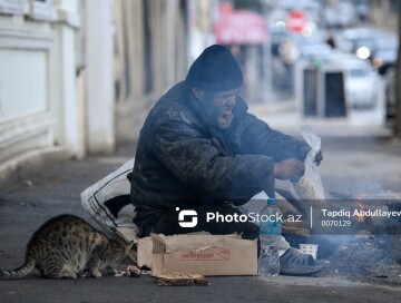 Кто поможет бездомным с наступлением холодов?