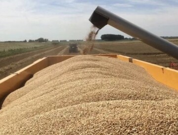 Турция предложила создать «зерновой коридор» из Украины